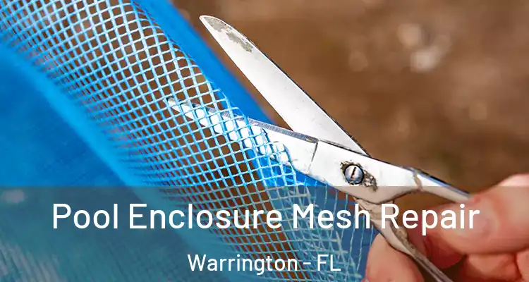 Pool Enclosure Mesh Repair Warrington - FL