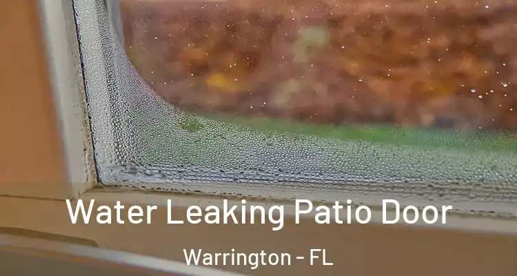 Water Leaking Patio Door Warrington - FL